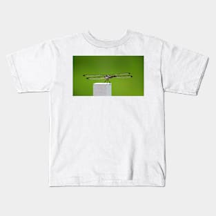 Dragonfly Wings Kids T-Shirt